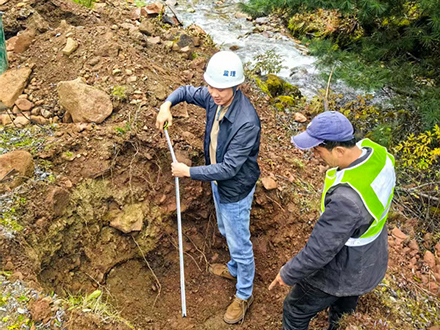 德钦县2025年农村公路绿化工程